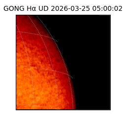 gong - 2026-03-25T05:00:02