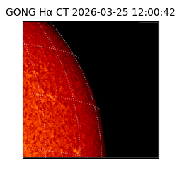 gong - 2026-03-25T12:00:42