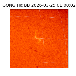 gong - 2026-03-25T01:00:02