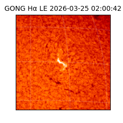 gong - 2026-03-25T02:00:42