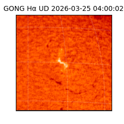 gong - 2026-03-25T04:00:02