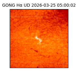 gong - 2026-03-25T05:00:02