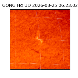 gong - 2026-03-25T06:23:02