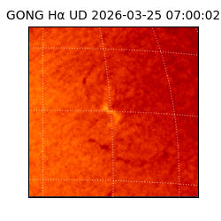 gong - 2026-03-25T07:00:02