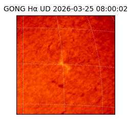 gong - 2026-03-25T08:00:02