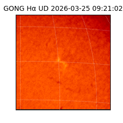 gong - 2026-03-25T09:21:02