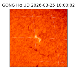 gong - 2026-03-25T10:00:02