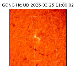 gong - 2026-03-25T11:00:02