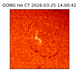 gong - 2026-03-25T14:00:42