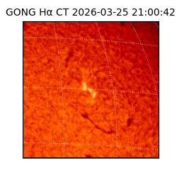 gong - 2026-03-25T21:00:42