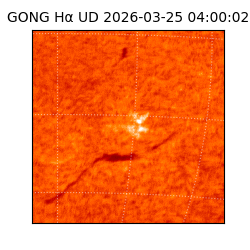 gong - 2026-03-25T04:00:02