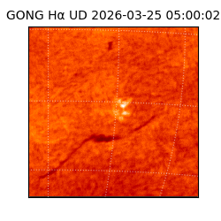 gong - 2026-03-25T05:00:02