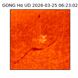 gong - 2026-03-25T06:23:02