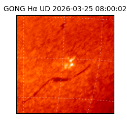 gong - 2026-03-25T08:00:02