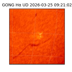 gong - 2026-03-25T09:21:02