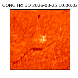 gong - 2026-03-25T10:00:02