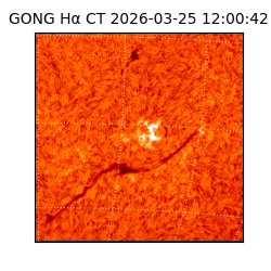 gong - 2026-03-25T12:00:42