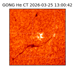 gong - 2026-03-25T13:00:42