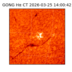 gong - 2026-03-25T14:00:42