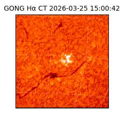 gong - 2026-03-25T15:00:42