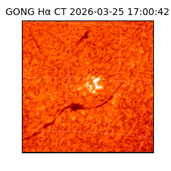 gong - 2026-03-25T17:00:42