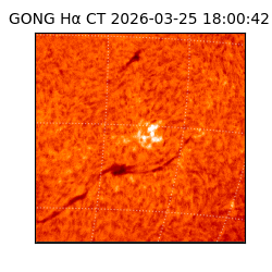 gong - 2026-03-25T18:00:42