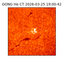 gong - 2026-03-25T19:00:42