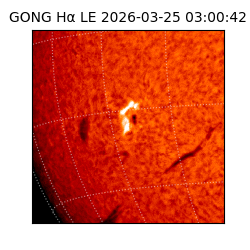 gong - 2026-03-25T03:00:42