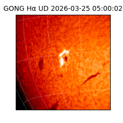 gong - 2026-03-25T05:00:02