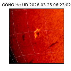 gong - 2026-03-25T06:23:02