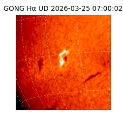 gong - 2026-03-25T07:00:02