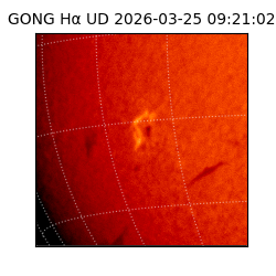 gong - 2026-03-25T09:21:02
