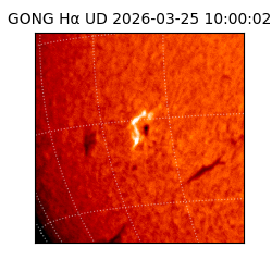 gong - 2026-03-25T10:00:02