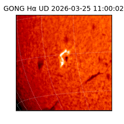 gong - 2026-03-25T11:00:02