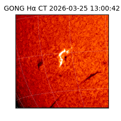 gong - 2026-03-25T13:00:42