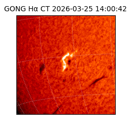 gong - 2026-03-25T14:00:42