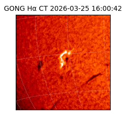 gong - 2026-03-25T16:00:42