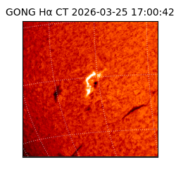 gong - 2026-03-25T17:00:42