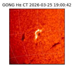 gong - 2026-03-25T19:00:42