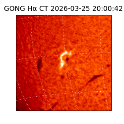 gong - 2026-03-25T20:00:42