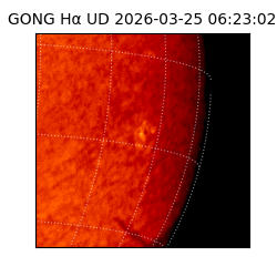 gong - 2026-03-25T06:23:02
