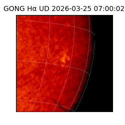 gong - 2026-03-25T07:00:02