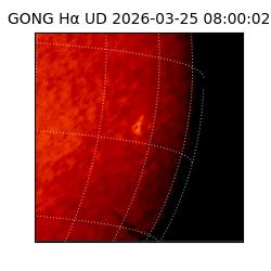 gong - 2026-03-25T08:00:02