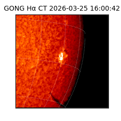 gong - 2026-03-25T16:00:42