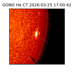 gong - 2026-03-25T17:00:42