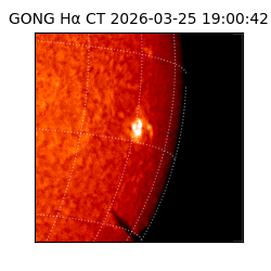 gong - 2026-03-25T19:00:42