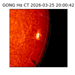 gong - 2026-03-25T20:00:42