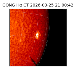 gong - 2026-03-25T21:00:42