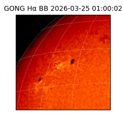 gong - 2026-03-25T01:00:02