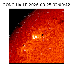 gong - 2026-03-25T02:00:42